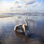 Appartamento Lubia Baltic Sea, Garden ,parking ,dog Firendly, In Lubiatowo (Pomerania)
