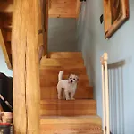 Lubia Baltic Sea, Garden ,parking ,dog Firendly, In * Lubiatowo (Pomerania)