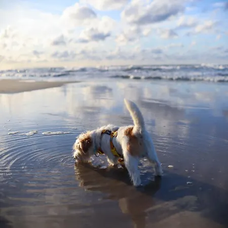 아파트 Lubia Baltic Sea, Garden ,parking ,dog Firendly, In 루비아토보