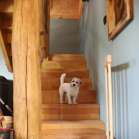 Lubia Baltic Sea, Garden ,parking ,dog Firendly, In * Любятово