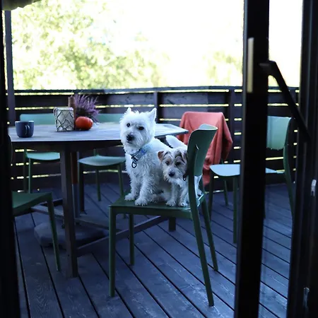 Lubia Baltic Sea, Garden ,parking ,dog Firendly, In 아파트 루비아토보