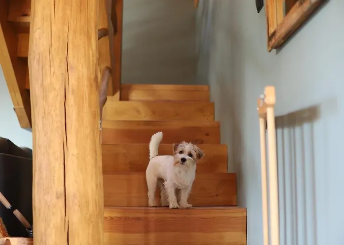 Lubia Baltic Sea, Garden ,parking ,dog Firendly, In * Lubiatowo (Pomerania)