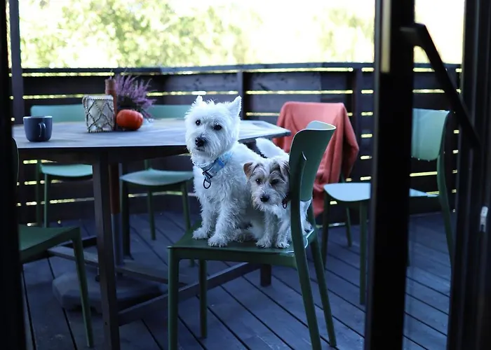 Lubia Baltic Sea, Garden ,parking ,dog Firendly, In Lägenhet Lubiatowo (Pomerania)